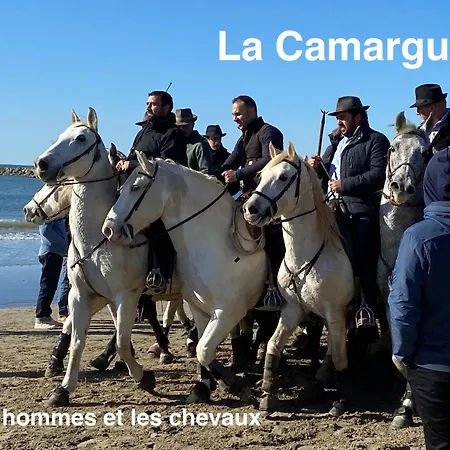 La Tonnelle *